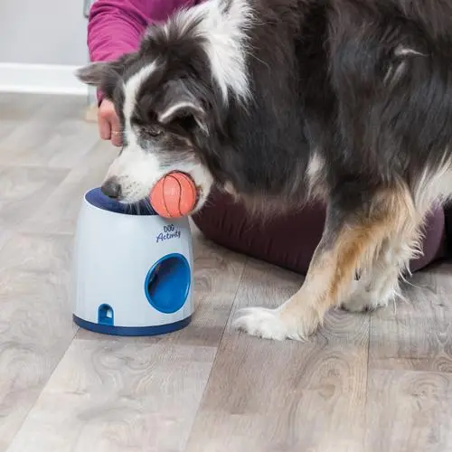 Trixie Hunde aktivitets spil Ball & Treat - sjovt spil til hunde